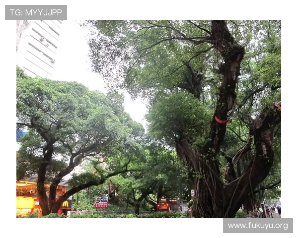 十六铺娱乐场在哪里，详细介绍周边环境和交通方式方便到达