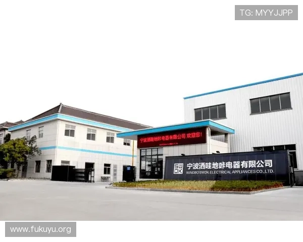 如何通过汇彩控股有限公司官网获取最全面的企业信息与投资机会