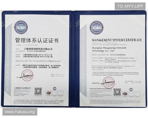 汇彩控股有限公司官网的用户注册流程与游戏体验优化建议