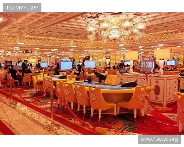 澳门永利娱城官方网官方平台提供多样化游戏选择满足不同玩家需求